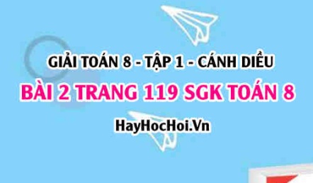 Giải bài 2 trang 119 Toán 8 Tập 1 SGK Cánh Diều